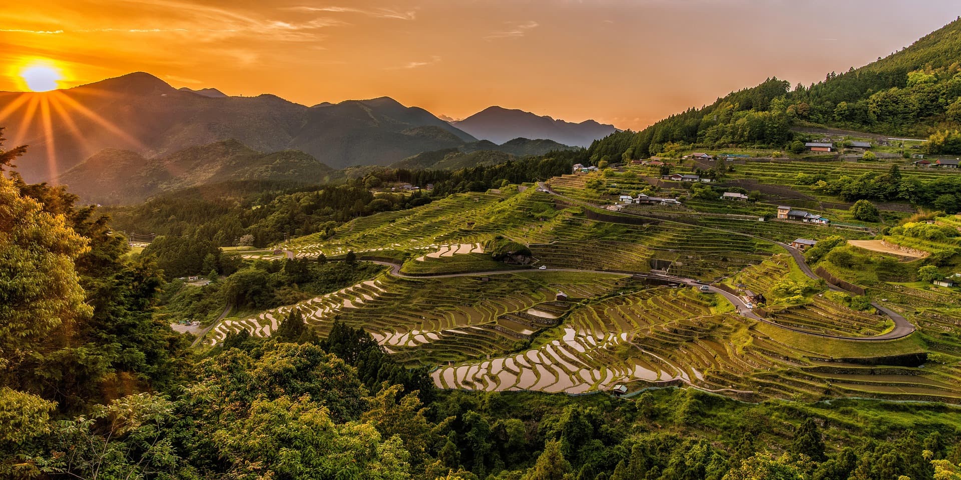 Panorama Terasering & Keindahan Senja